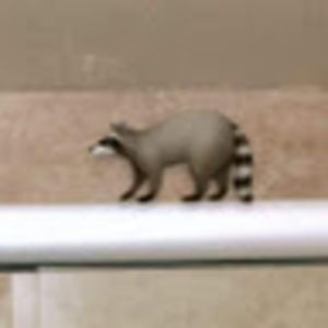 Meet your Posher, Quinn